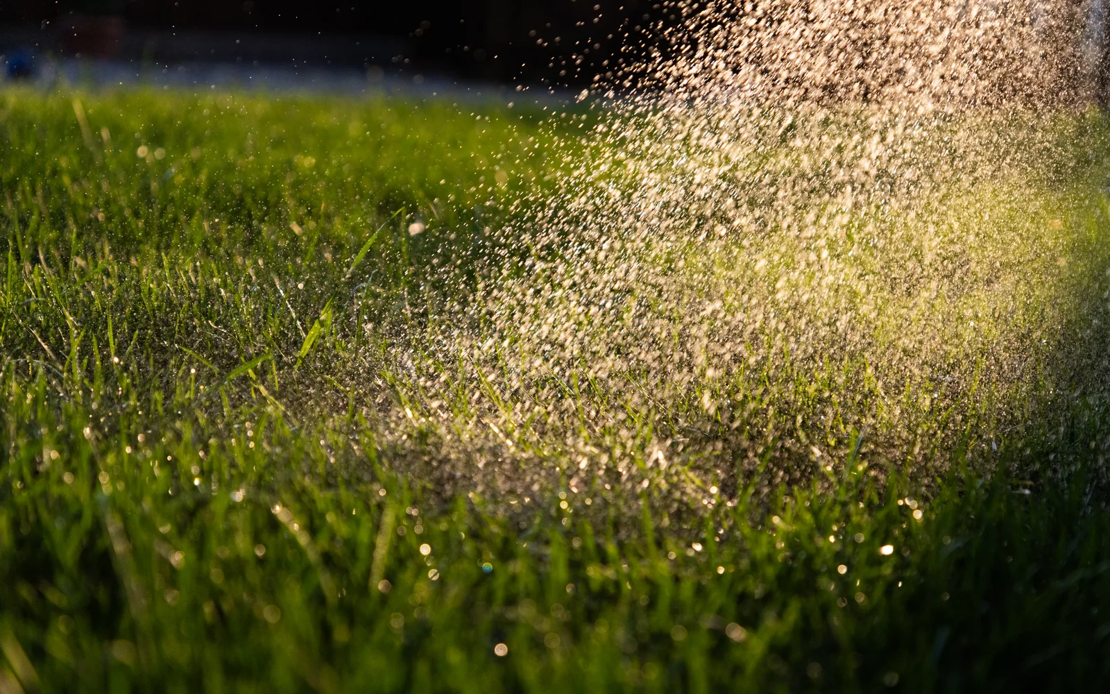 Sands Point Warned Its Water Towers Could Run Dry. Then It Gave Every Street a Sprinkler Window.