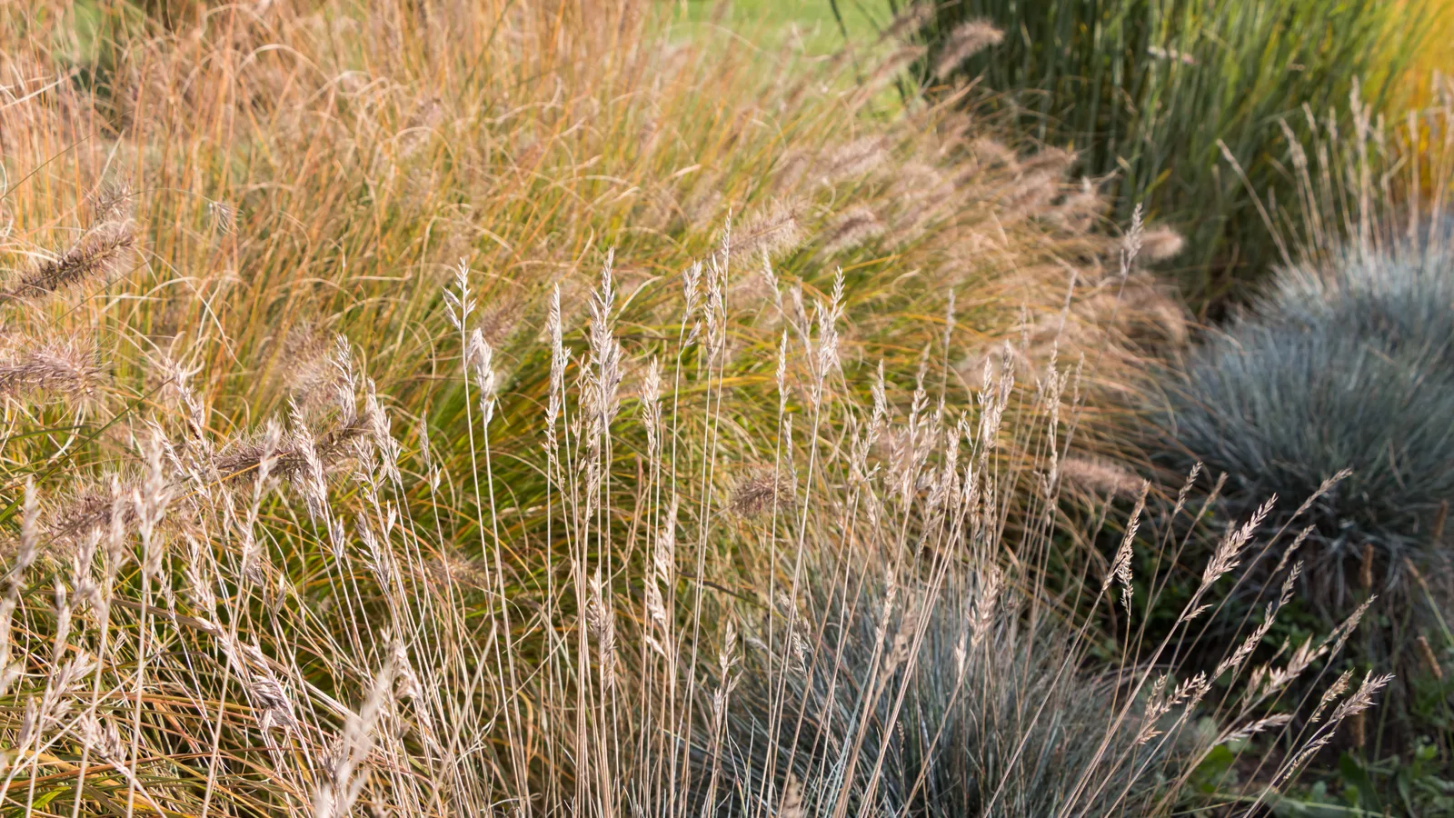 The High Line's Garden Designer Built His Next One in Oyster Bay, and It Opens Saturday