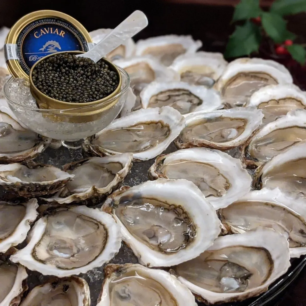   -Photo Credit:    Fisher's Island Oysters   