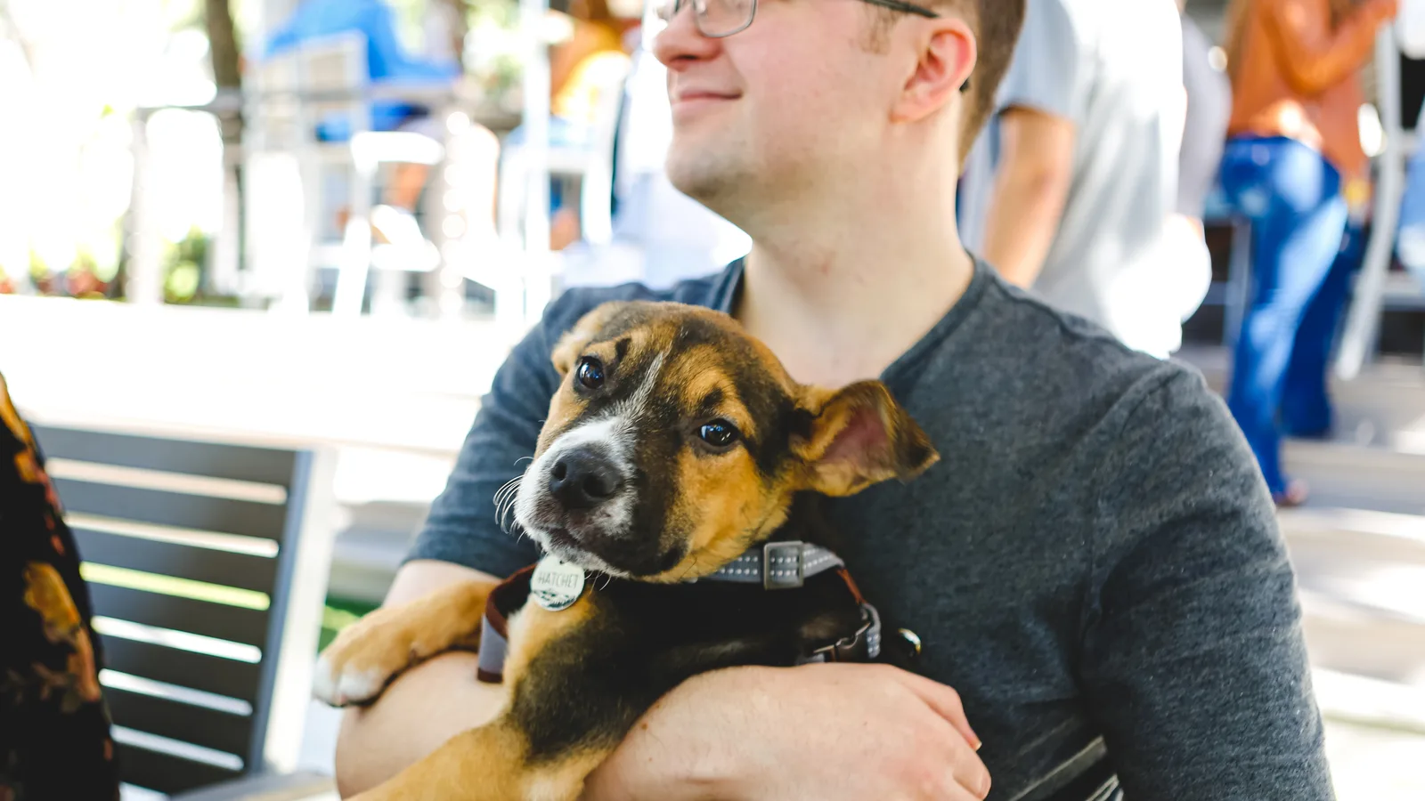 BarkFest Comes to the Brookhaven Animal Shelter on Sunday, Where More Than 100 Dogs Are Waiting
