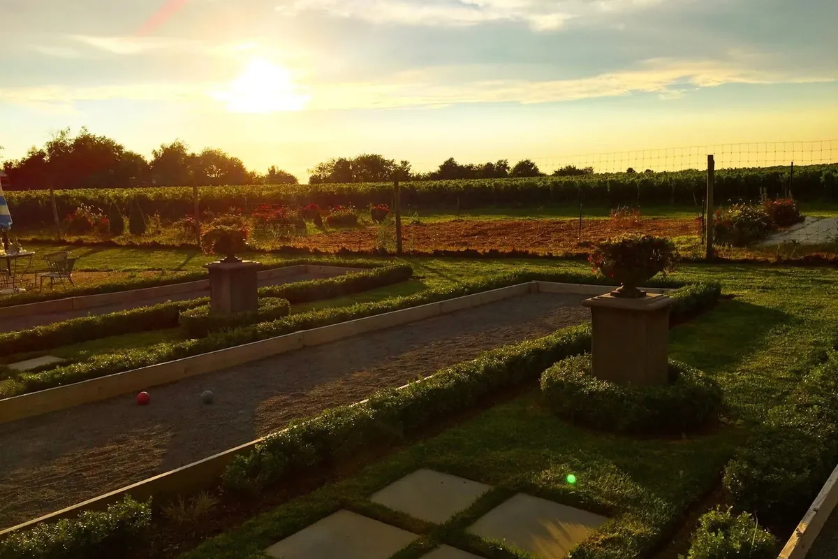   -Photo Credit:    Mattebella Vineyards   