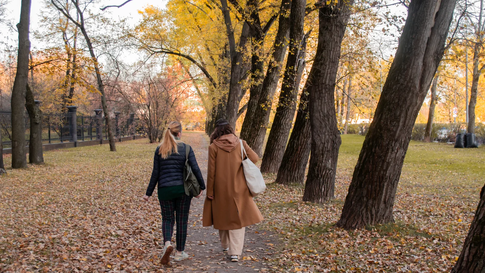 Long Island's Audiobook Walking Club Is Seven Months Old and Already Sells Out Buses to Bookstores
