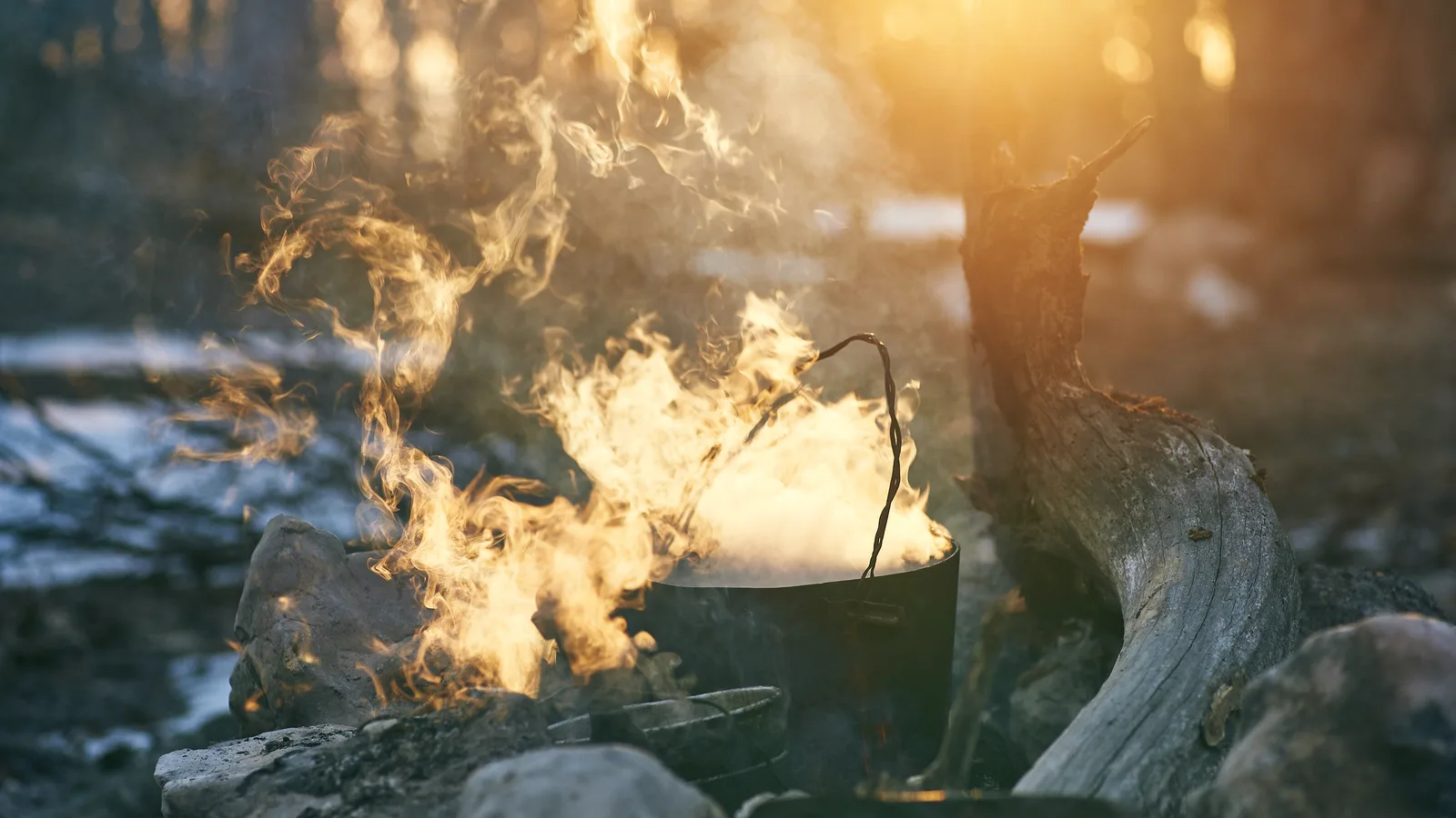 Garvies Point Brings Back Its Native American Fall Festival With a Montaukett Storyteller and Campfire Cooking