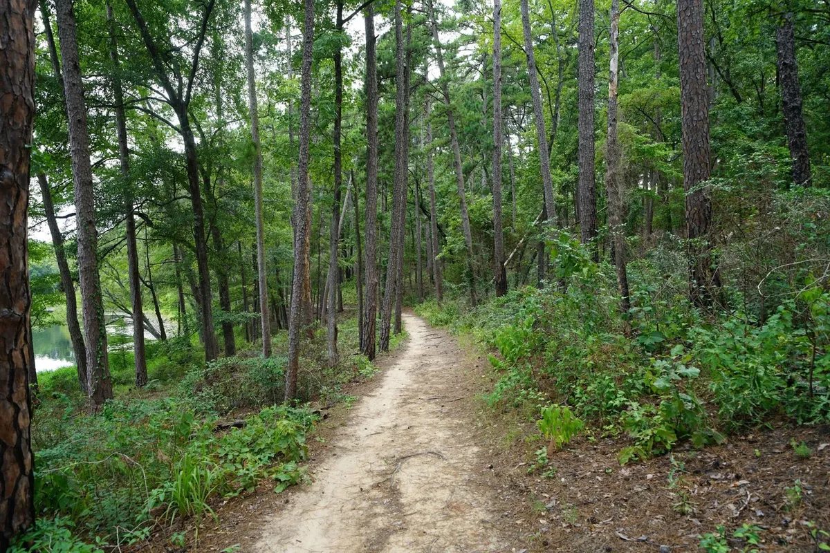 8 Long Island Hiking Trails Great for the Summer 🥾