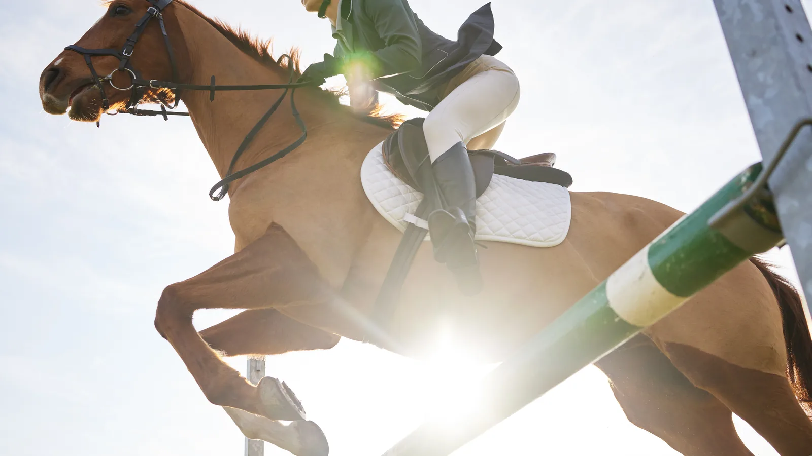 Things to Do on Long Island This Weekend: Caber Tosses, Loukoumades and the Hampton Classic's Opening Day