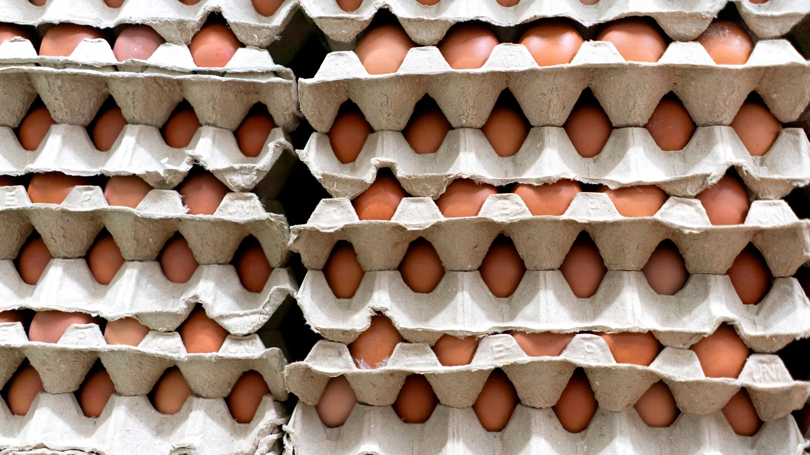 259,200 Eggs Arrived in Hauppauge Thursday, Courtesy of the Companies That Rigged Egg Prices