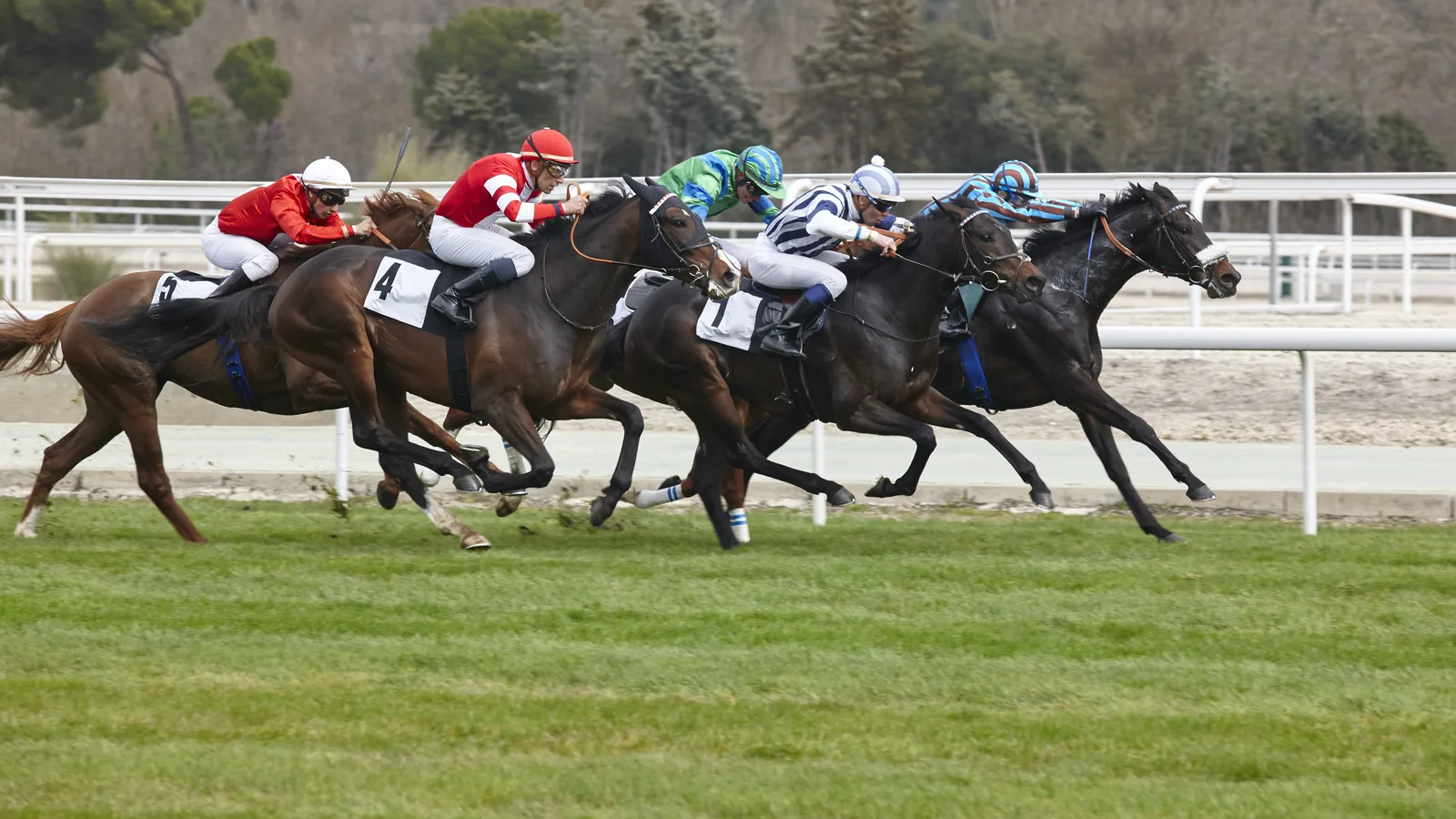 Belmont Park Runs Its First Race Friday, and Opening Day Is Already Sold Out