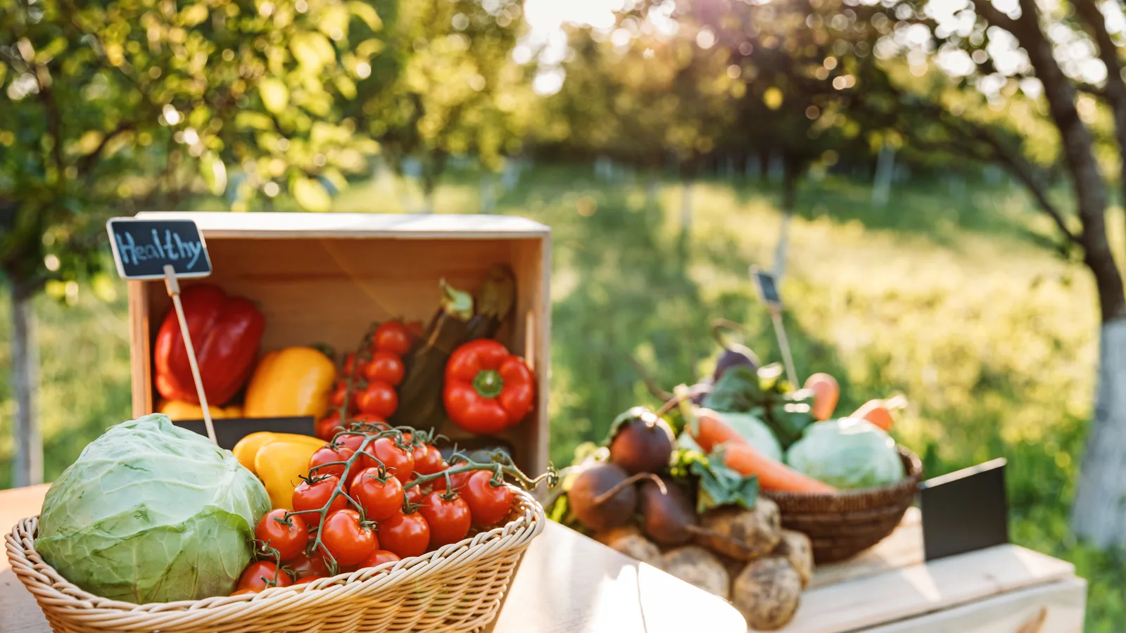 The Farm Stand Finder in Your Pocket Was Built in Cutchogue, Partly by a 12-Year-Old