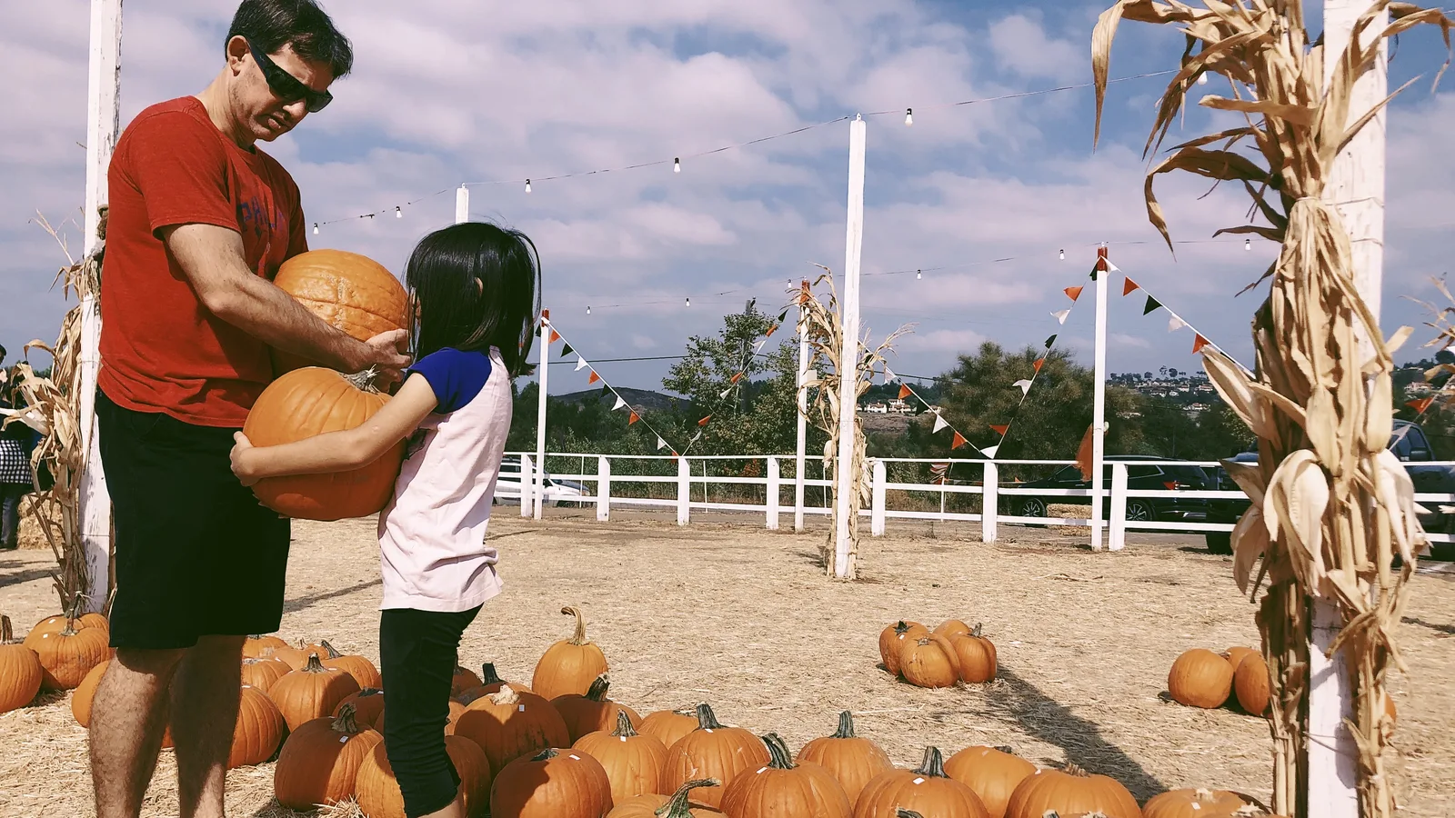 ELIJA Farm's Fall Festival Returns to South Huntington With Hayrides That Fund Autism Job Training