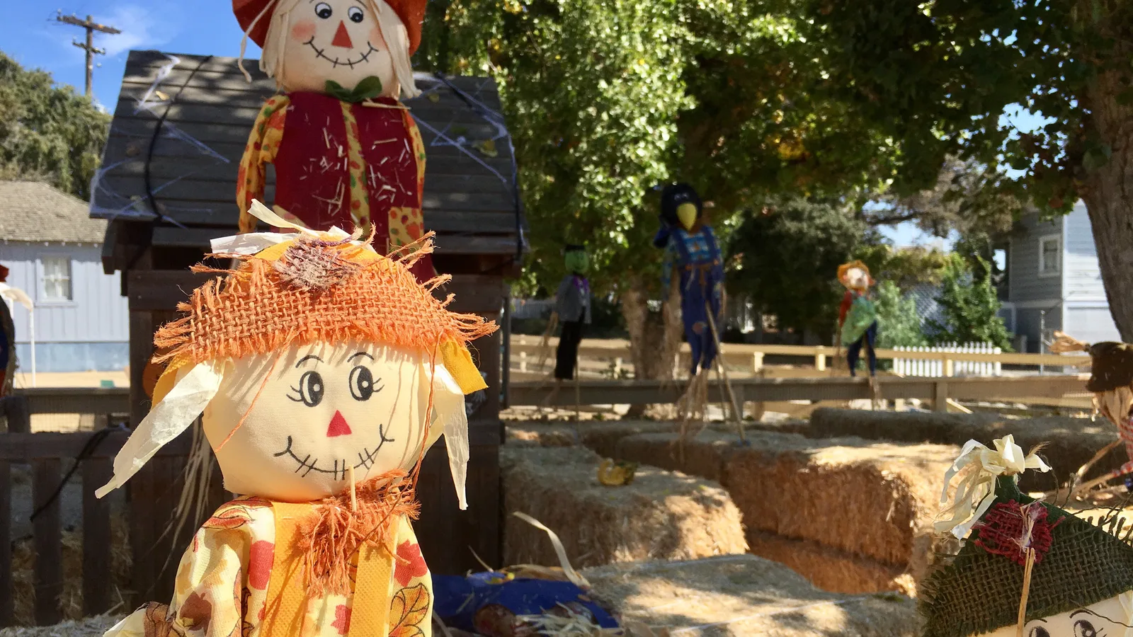 Vote for Stony Brook Village's Scarecrows by Oct. 25, Then Come Back for a Halloween 5K and Festival