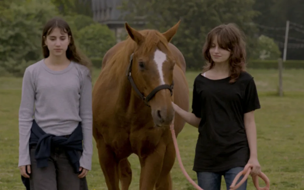 Two teenage girls walking a chestnut horse across a green paddock in To God's Ear