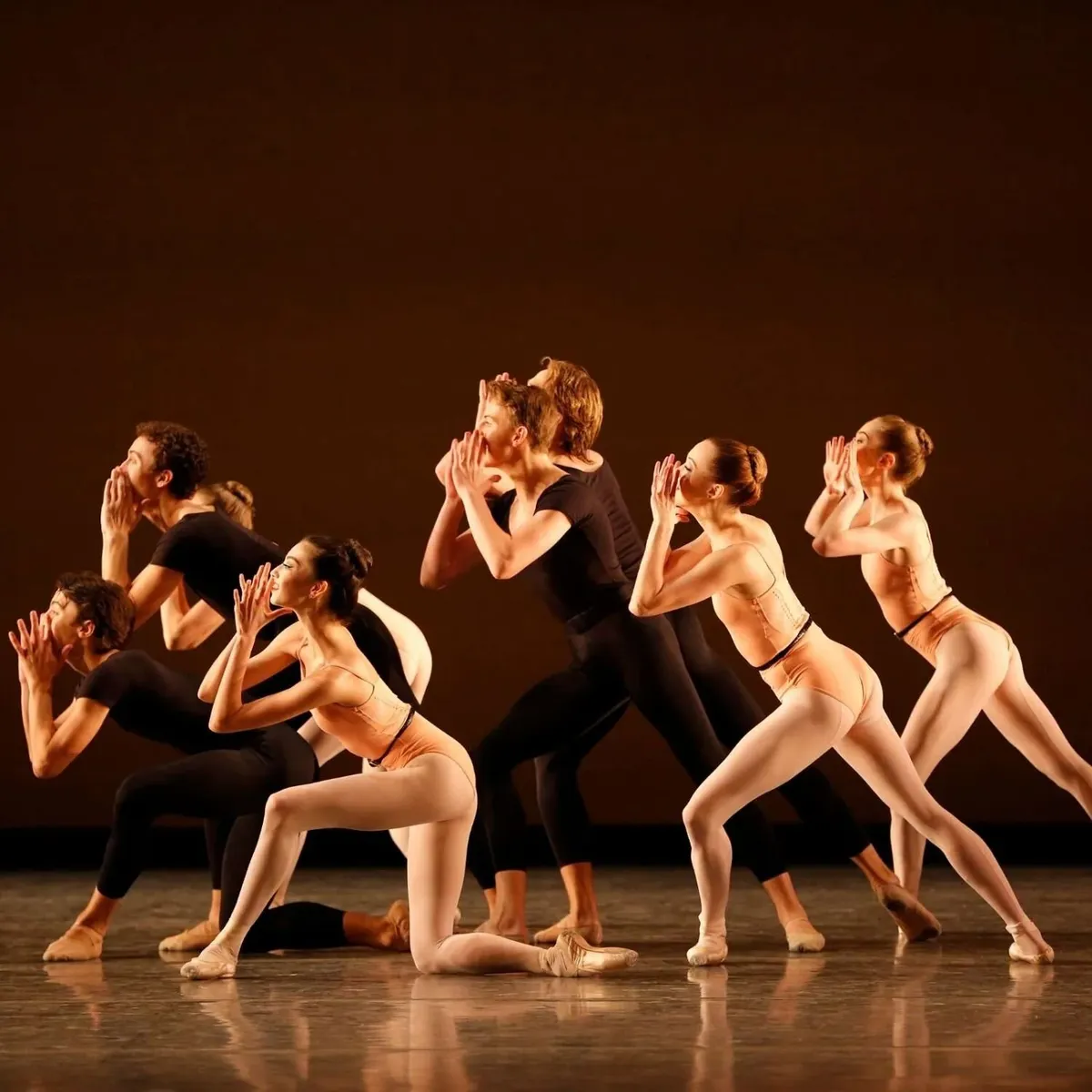   -Photo Credit:    American Ballet Theater   ,    The Westhampton Beach Project   