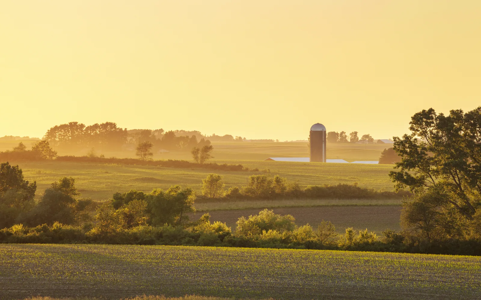A 188-Acre Jamesport Farm Goes Before Riverhead's Planning Board Tonight. Its Development Rights Have Already Been Sold.
