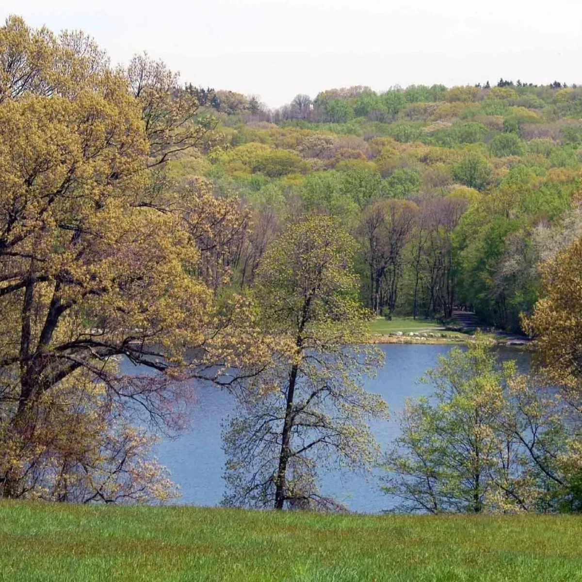 -Photo Credit: Trail View State Park
